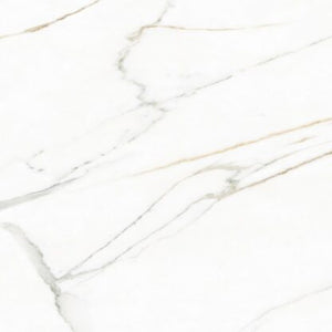 Golden Blanco x 1200×1200
