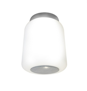 Rhythm Bluetooth Ceiling Light and Speaker with  colour changing/dimmable LED light